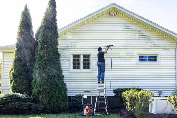 Best House Exterior Washing  in Glen Carbon, IL